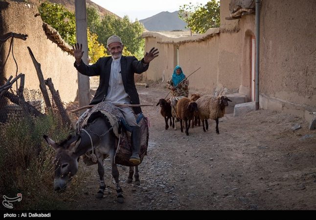 در سه ماه نخست سال جاری صورت گرفت: پرداخت بیش از پنج هزار میلیارد ریال وام قرض‌الحسنه ازدواج در بانک سینا