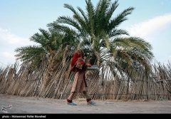سازمان تأمین‌اجتماعی اعلام کرد: افزایش تسهیلات قرض‌الحسنه بازنشستگان به ۳۰ میلیون تومان/ آغاز ثبت‌نام مرحله اول پرداخت تسهیلات
