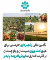 تأمین مالی زنجیره ای؛ فرصتی برای عبور کشاورزی سیستان و بلوچستان از فقر ساختاری به ارزش افزوده پایدار