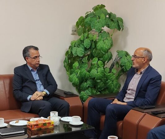 بانک مسکن ۶۷۰۰ خانواده در استان خراسان جنوبی را خانه دار کرد/ نقش محوری بانک مسکن در شتاب‌بخشی به نهضت ملی
