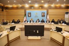 آیین واگذاری ۸۸۸ واحد نهضت ملی مسکن به متقاضیان زنجانی برگزار شد / تقدیر معاون رئیس‌جمهور در امور زنان و خانواده از عملکرد مطلوب بانک مسکن