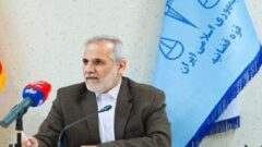 تصویب ماده ۱۱ لایحه حمایت از ایرانیان خارج از کشور؛ گامی مهم برای تسهیل بازگشت ایرانیان