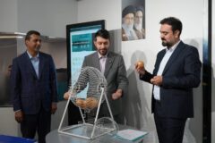 وقتی ورزش و بیمه به هم می‌پیوندند/ برندگان‌ جام دی ویژه جام جهانی طی مراسمی مشخص شدند