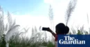 World Bank says ‘small AI’ could transform developing countries