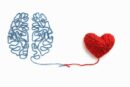 Healthy blood vessels can protect your brain as well as your heart