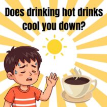 ?Is it true that … having a hot drink will cool you down