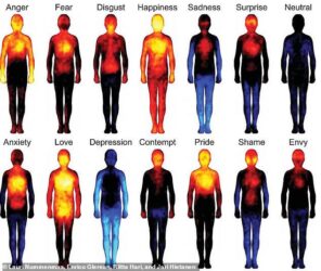 Scientists reveal exactly where different emotions impact your body