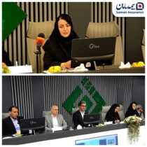 بیمه های متصل به دارایی ، پیوند جدید بیمه و سرمایه گذاری
