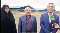 منطقه آزاد ماکو، فرصت طلایی سرمایه‌گذاری در زنجیره دام و طیور