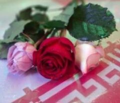 اهدای گل به تعداد شهدای جنگ رمضان در راهپیمایی غدیر در غرفه بیمه دی