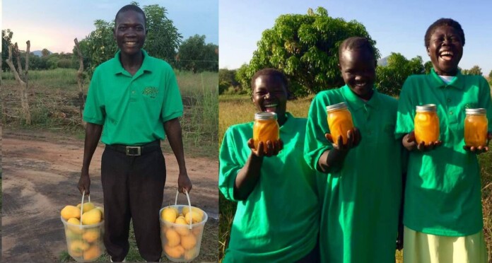 Nurse Swaps Medicine for Mangos After Epiphany: Patients Were Malnourished While Fruit Rots All Around