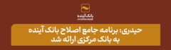 حیدری: برنامه جامع اصلاح بانک آینده به بانک مرکزی ارائه شد